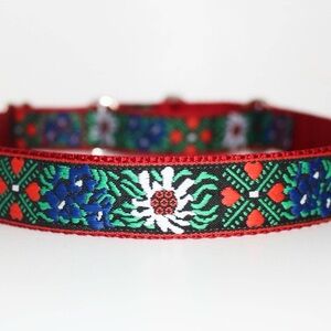 Swiss / Edelweiss Martingale Dog Collar 11”-15”